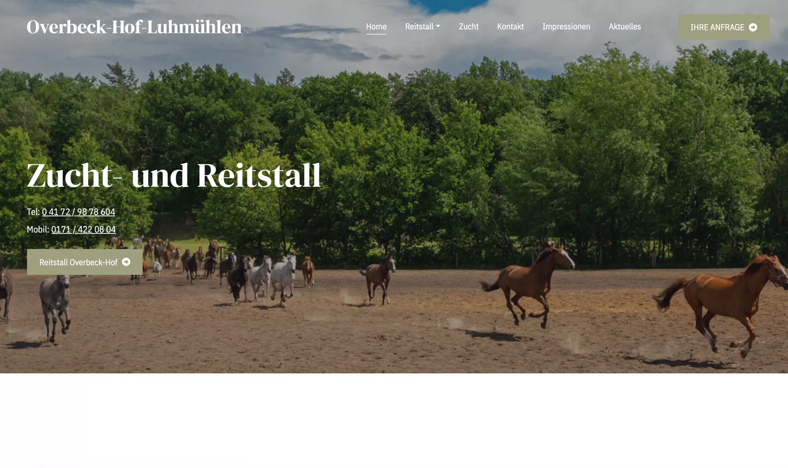 Webdesign-lueneburger-heide