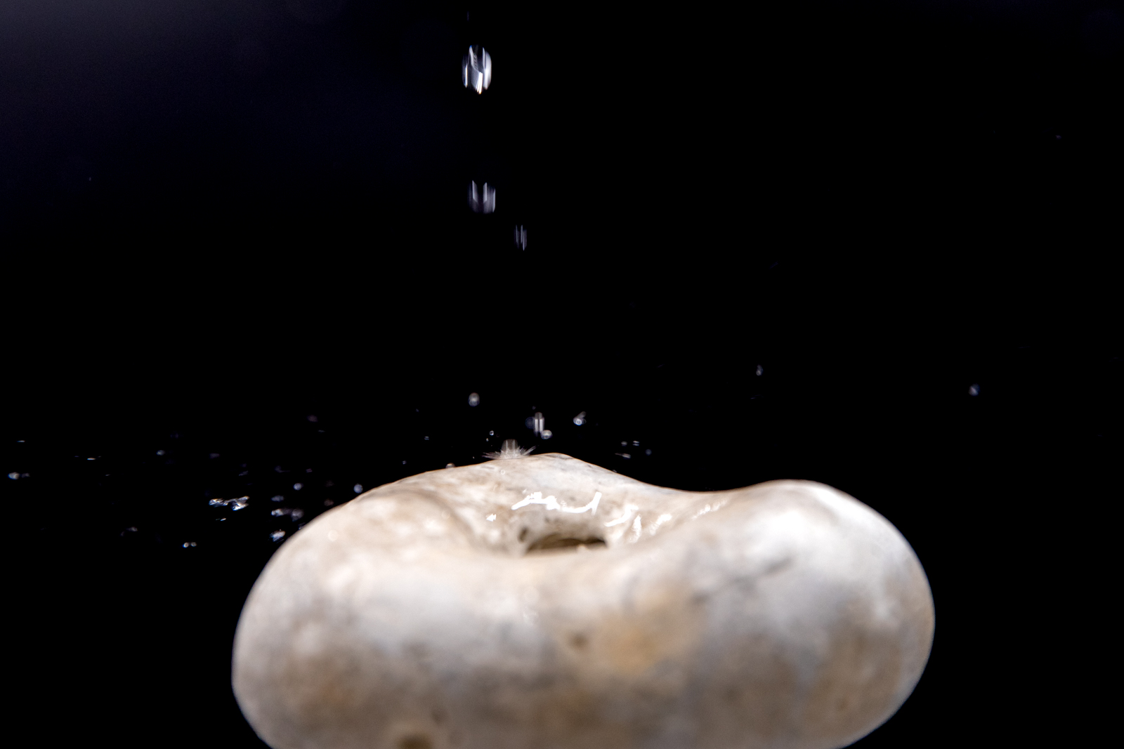 im-web-sichtbar-werden