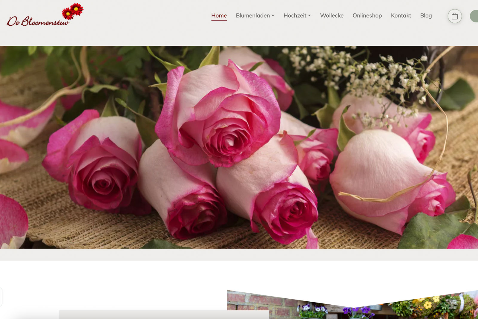 website-relaunch-erfolgreich-mit-onlineshop-abgeschlossen website-relaunch-erfolgreich-mit-onlineshop-abgeschlossen